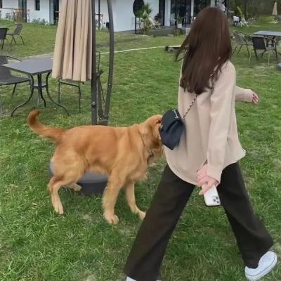 别对我的女人出手